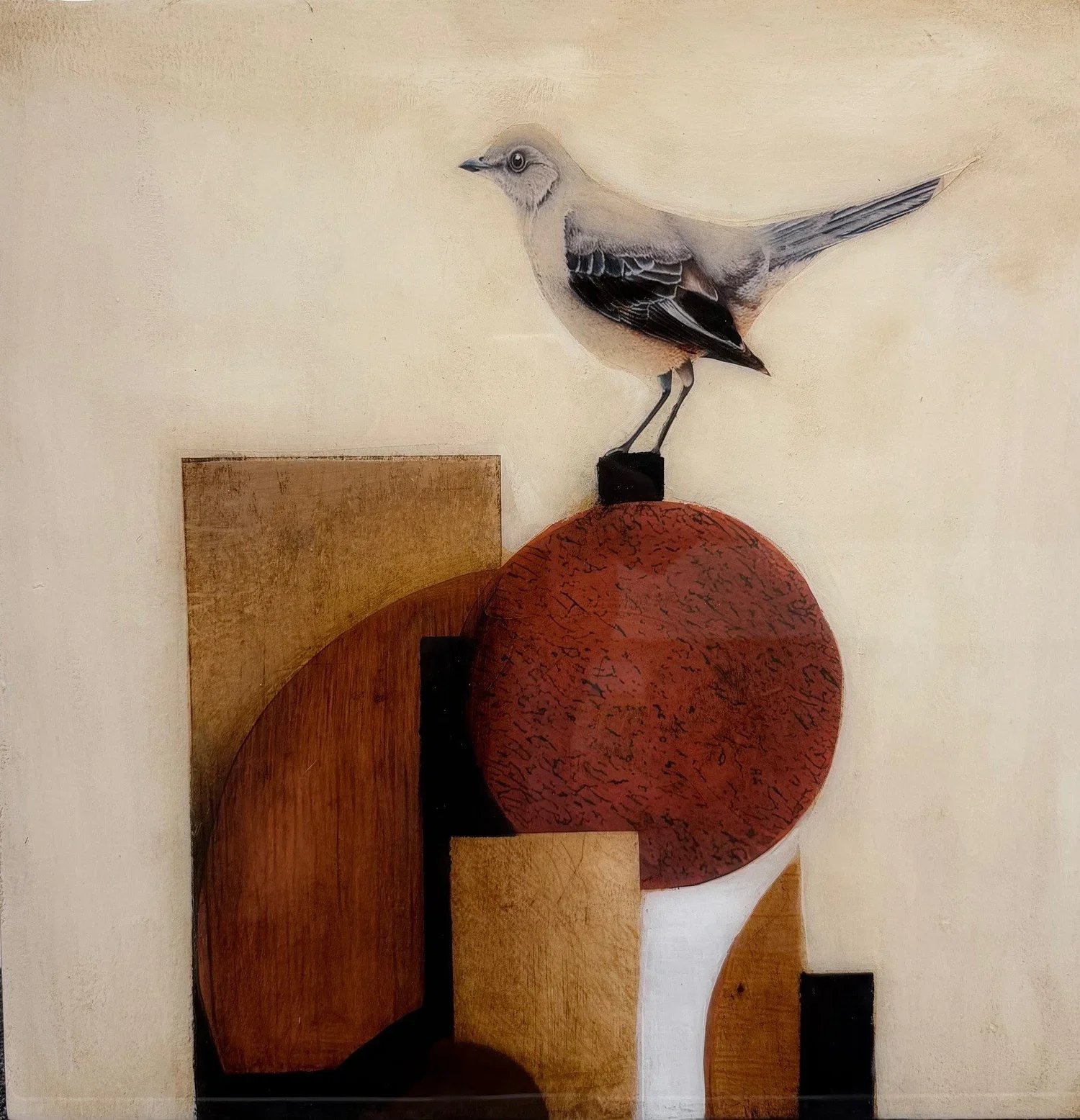 ankestarling.jpg.webp
