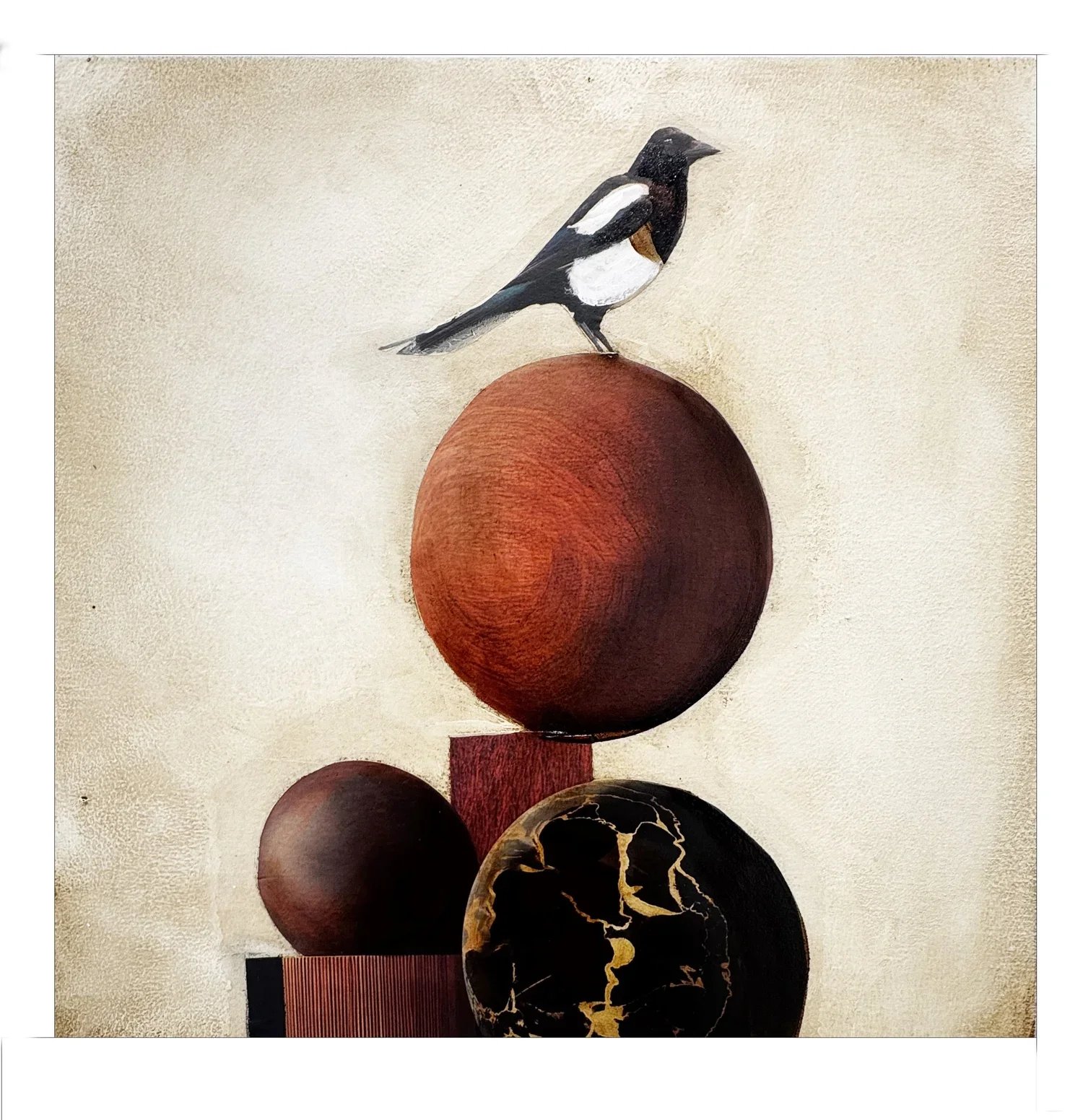 magpie.jpg.webp