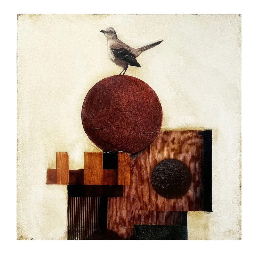mockingbird.jpg.webp