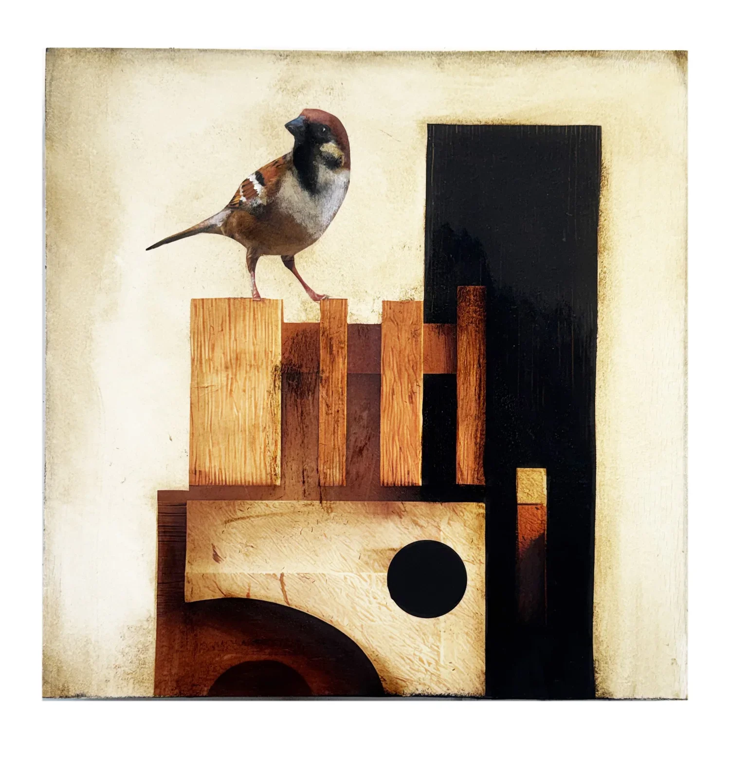 sparrow.jpg.webp