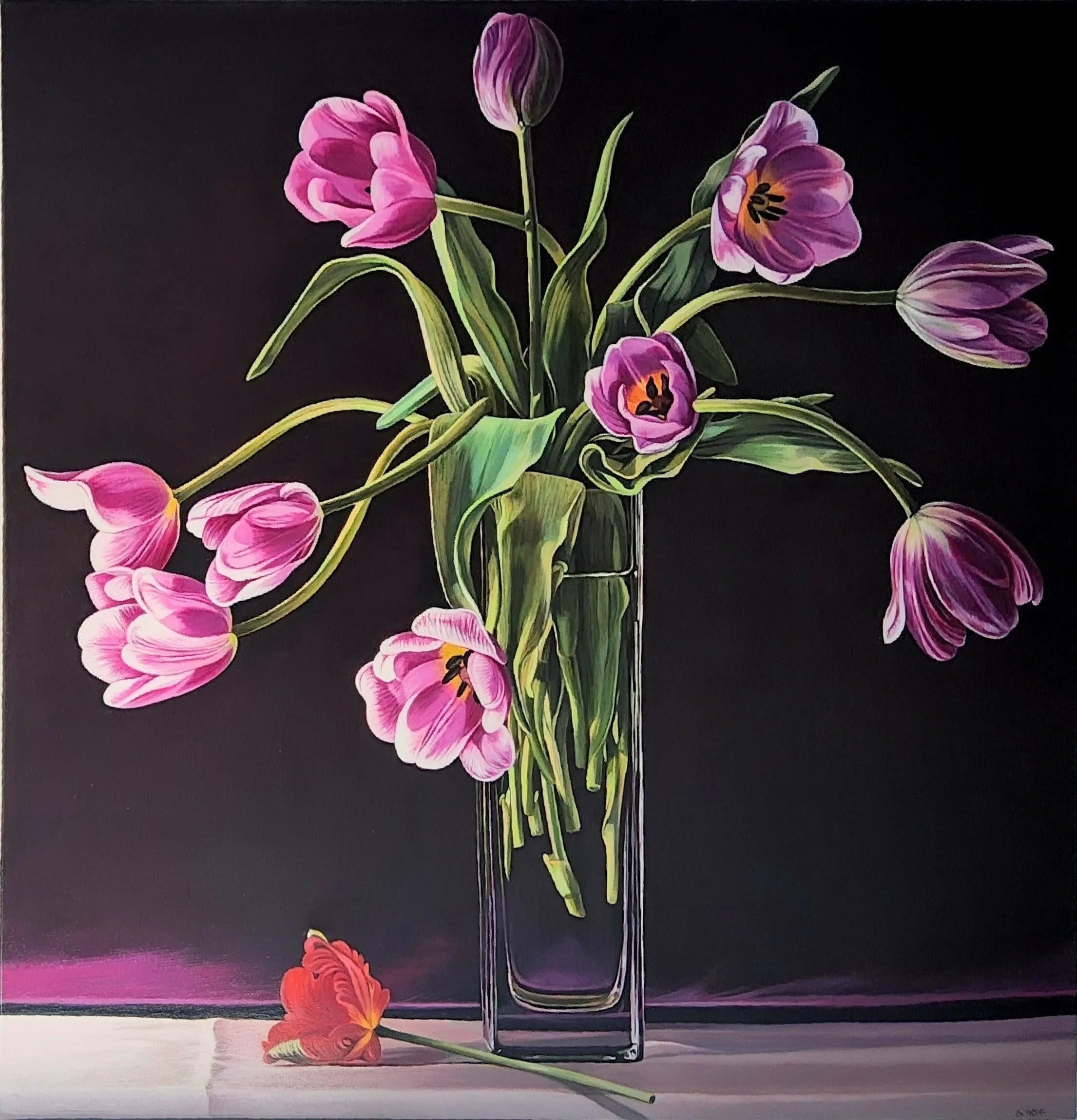 magenta tulips #1    2026