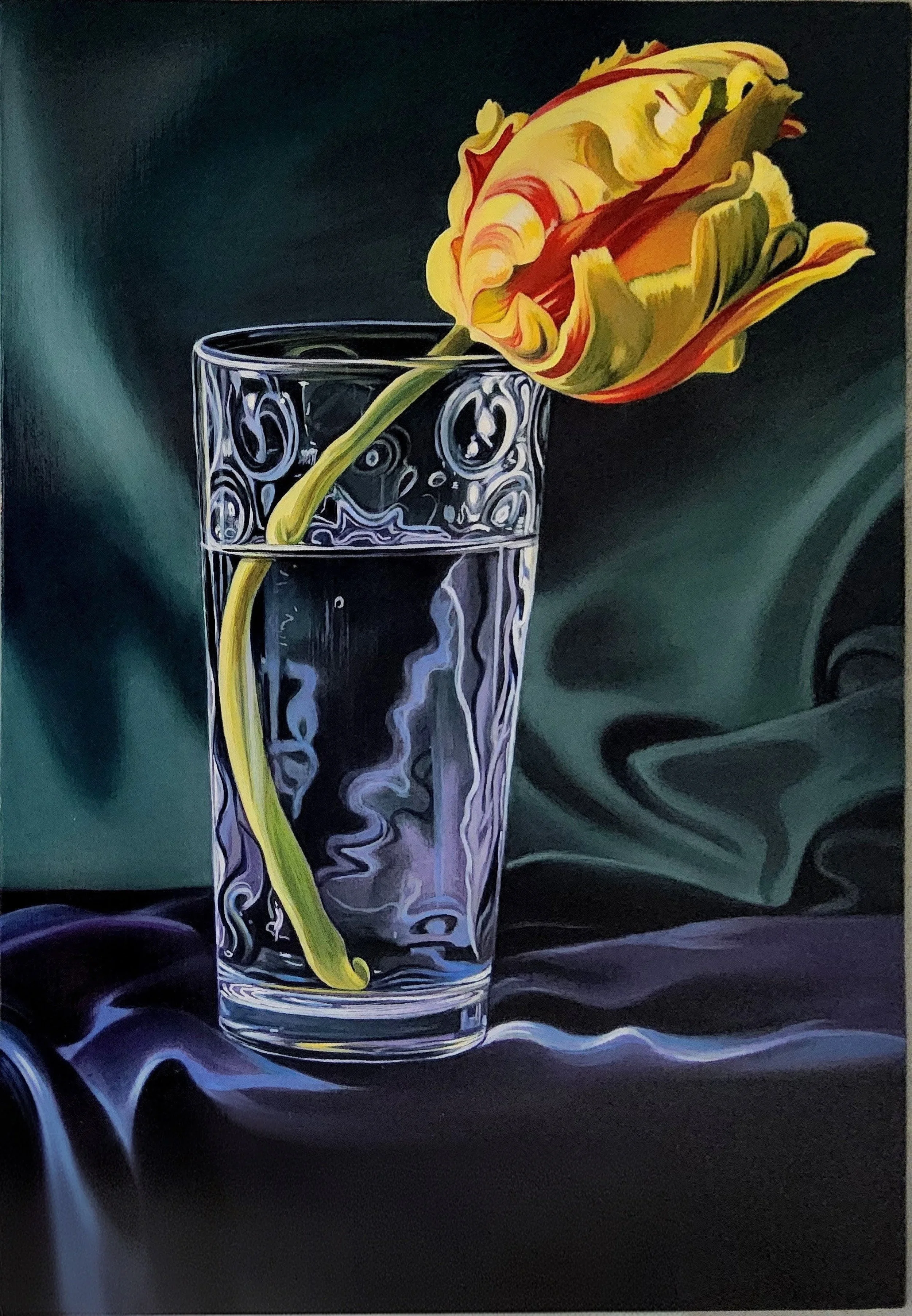 yellow tulip in glass    2026