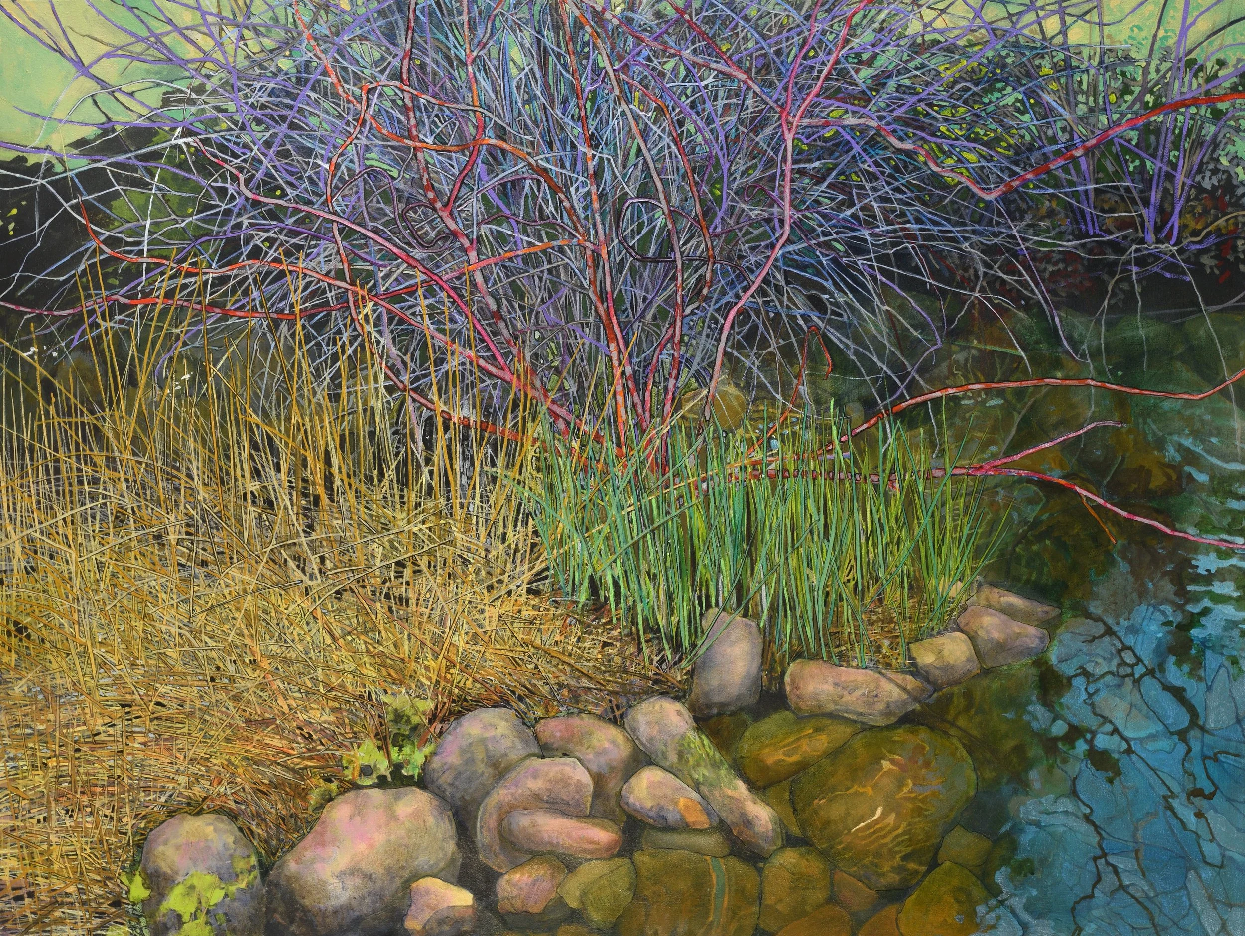 creek in early spring    2026