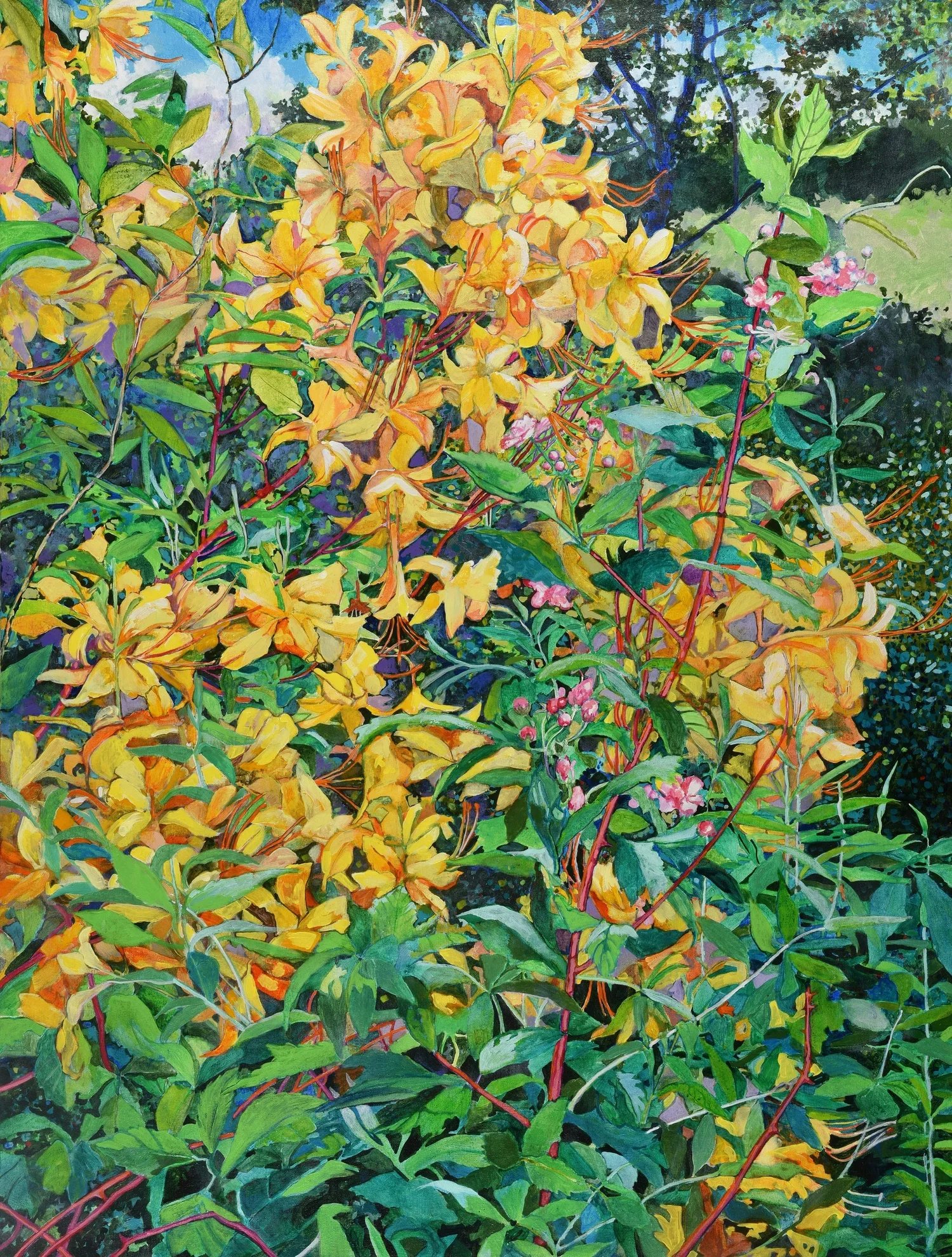 bradford+Flame+Azaleas.jpeg.webp