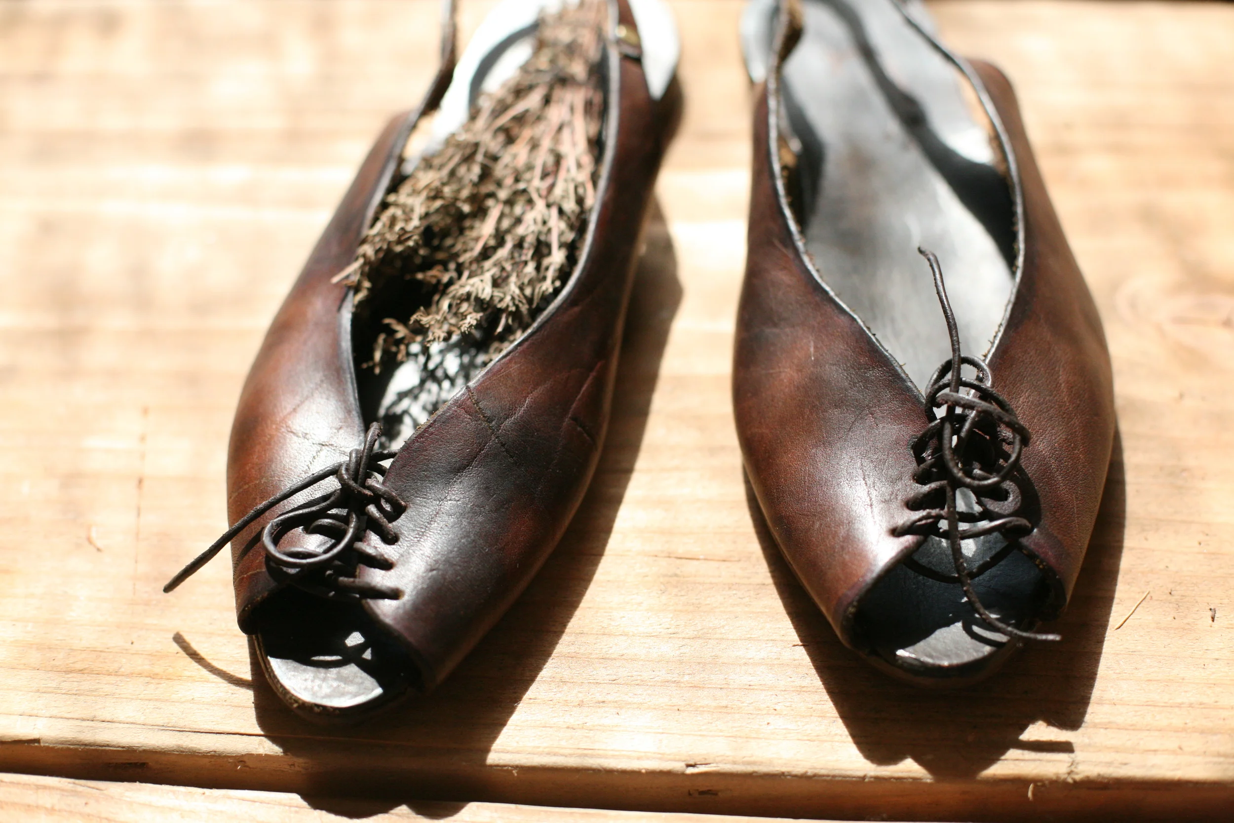 IMG_2192.JPG