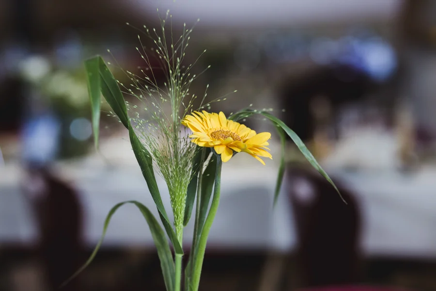 AdriLaurentWedding_0162.jpg
