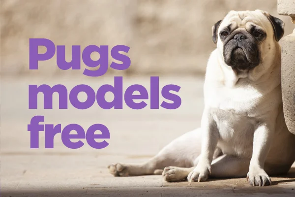 pugmodelsfree.jpg
