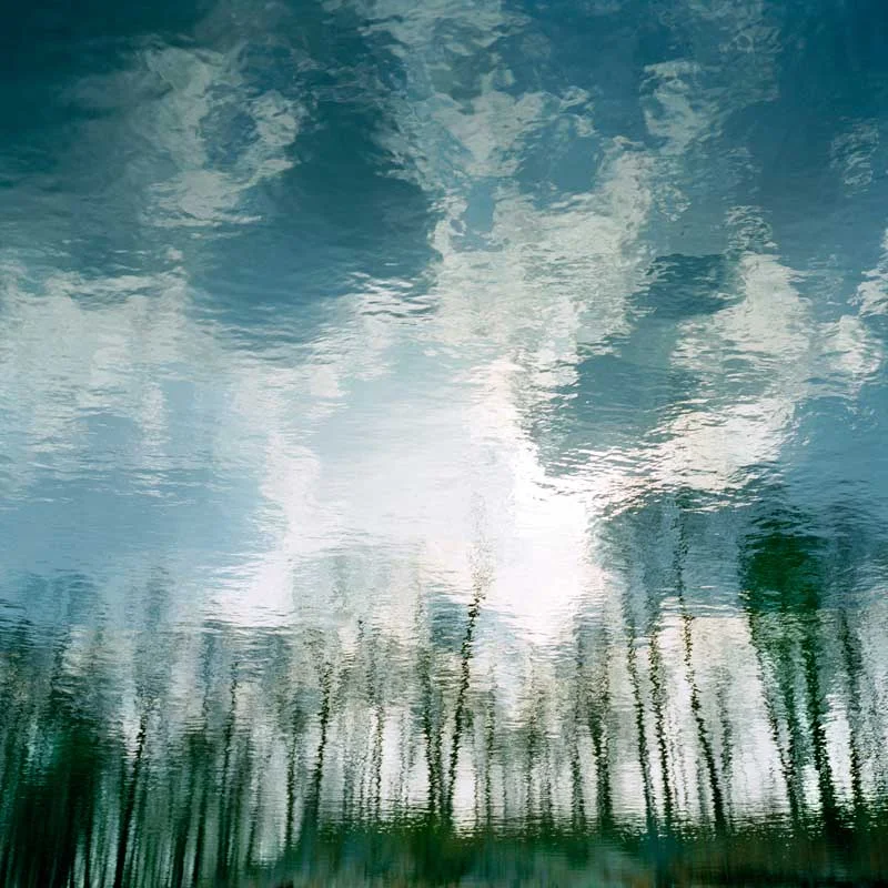 VII