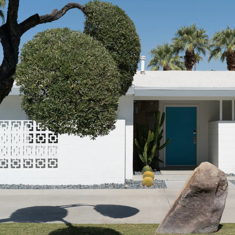 Palm Springs No. 11