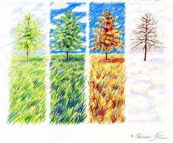 Seasonal Health and Wellness: Free Class Series