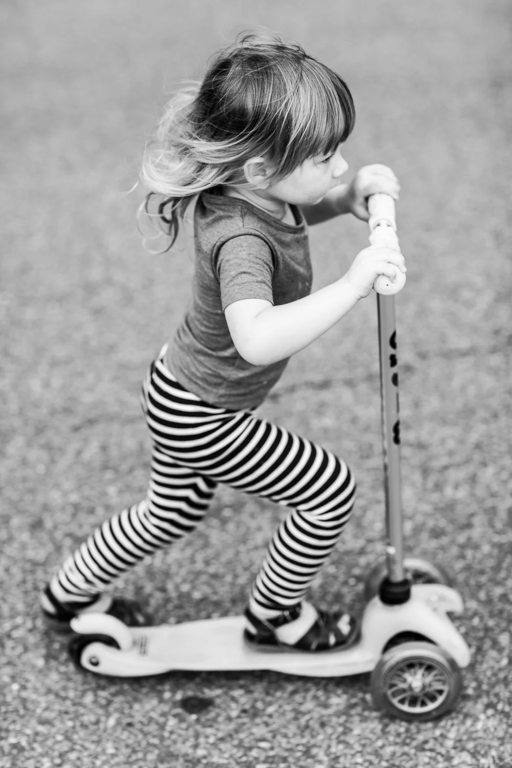 Learning the Flamingo