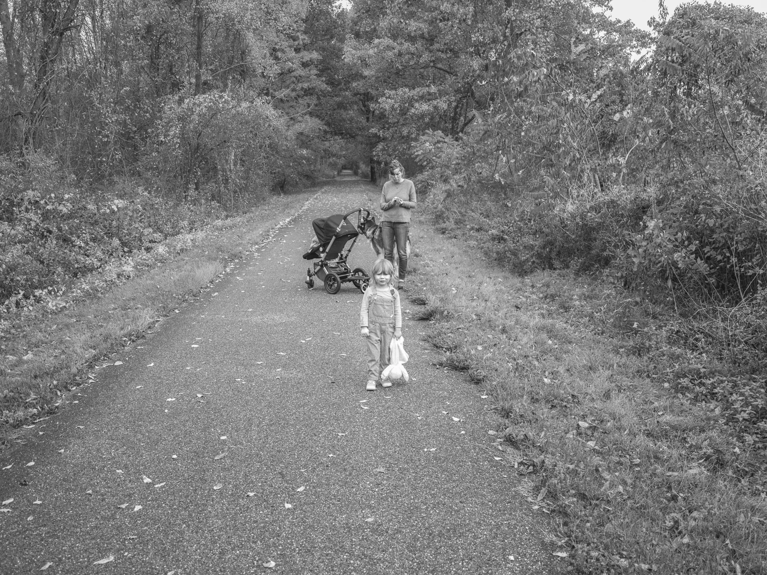 The Rail Trail