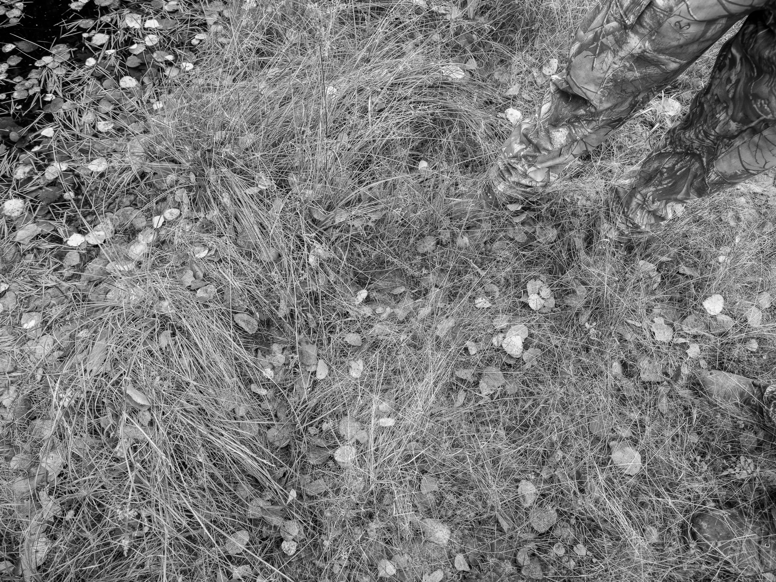 What’s great about this picture is that it is of the ground, which is unexpected. You can show it on the wall or you can be cleaver and show it on the ground. It is really flexible. That is only one of the reasons it is a great value.