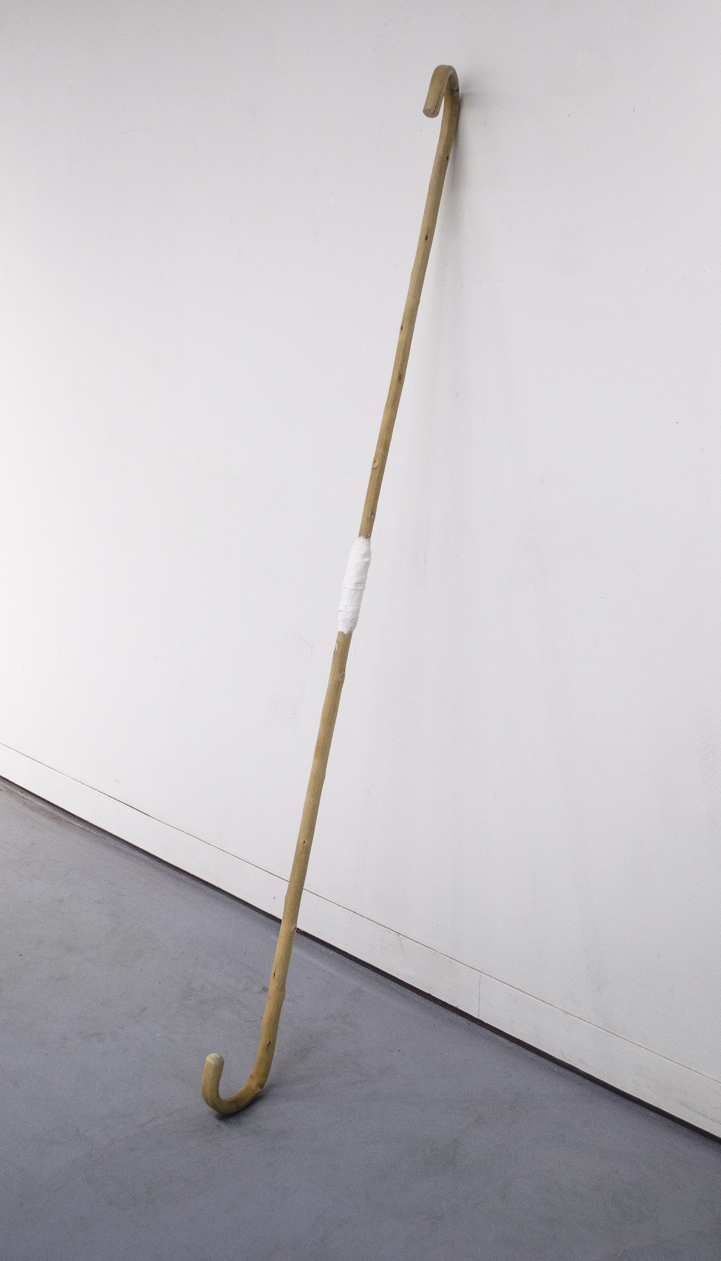 ATOS (beyond body) Mother’s old walking sticks, steel, plaster 60 in x 5 in x 5 in 2018