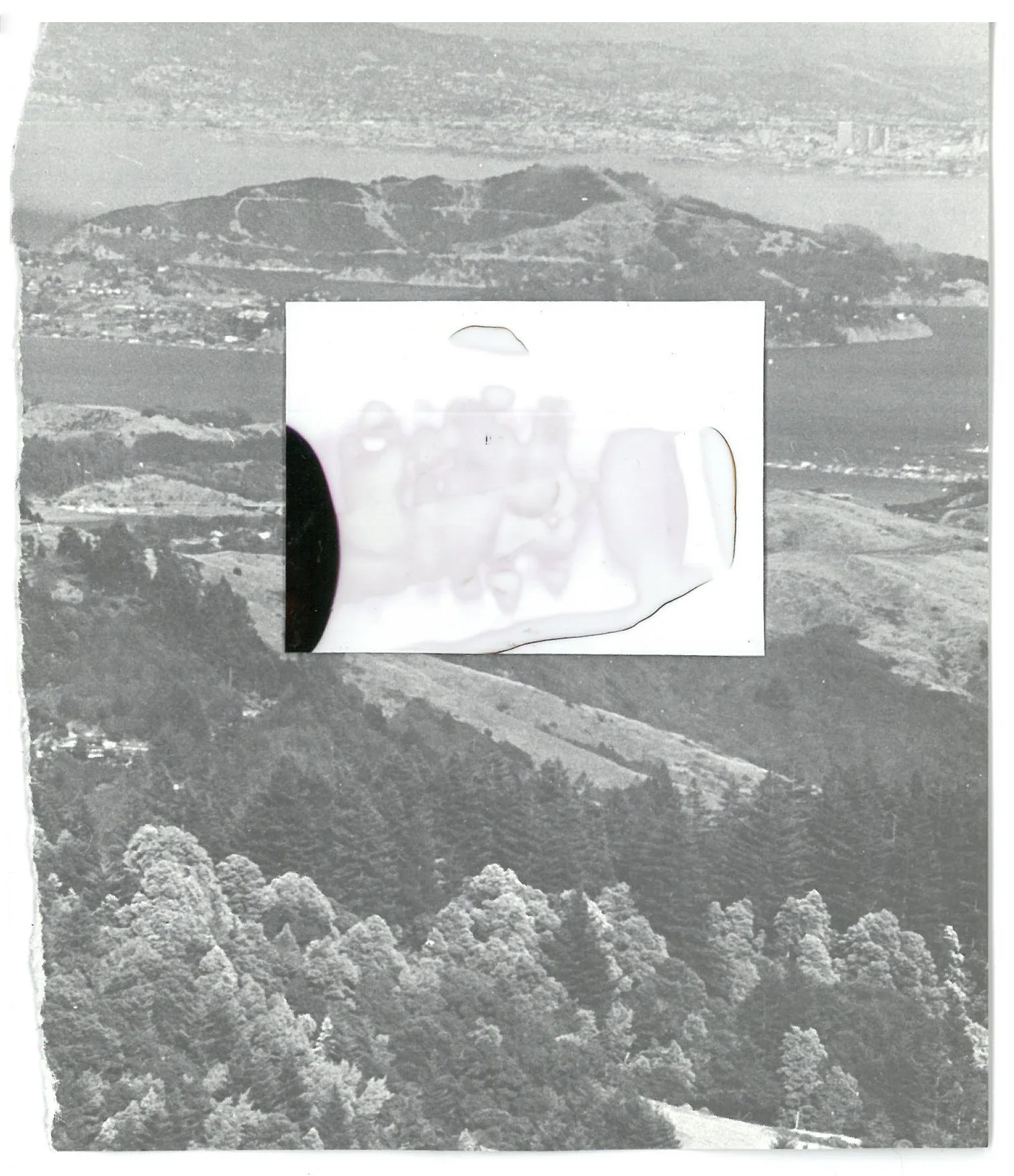    Ebb    Collage  8” x 6”  2021 