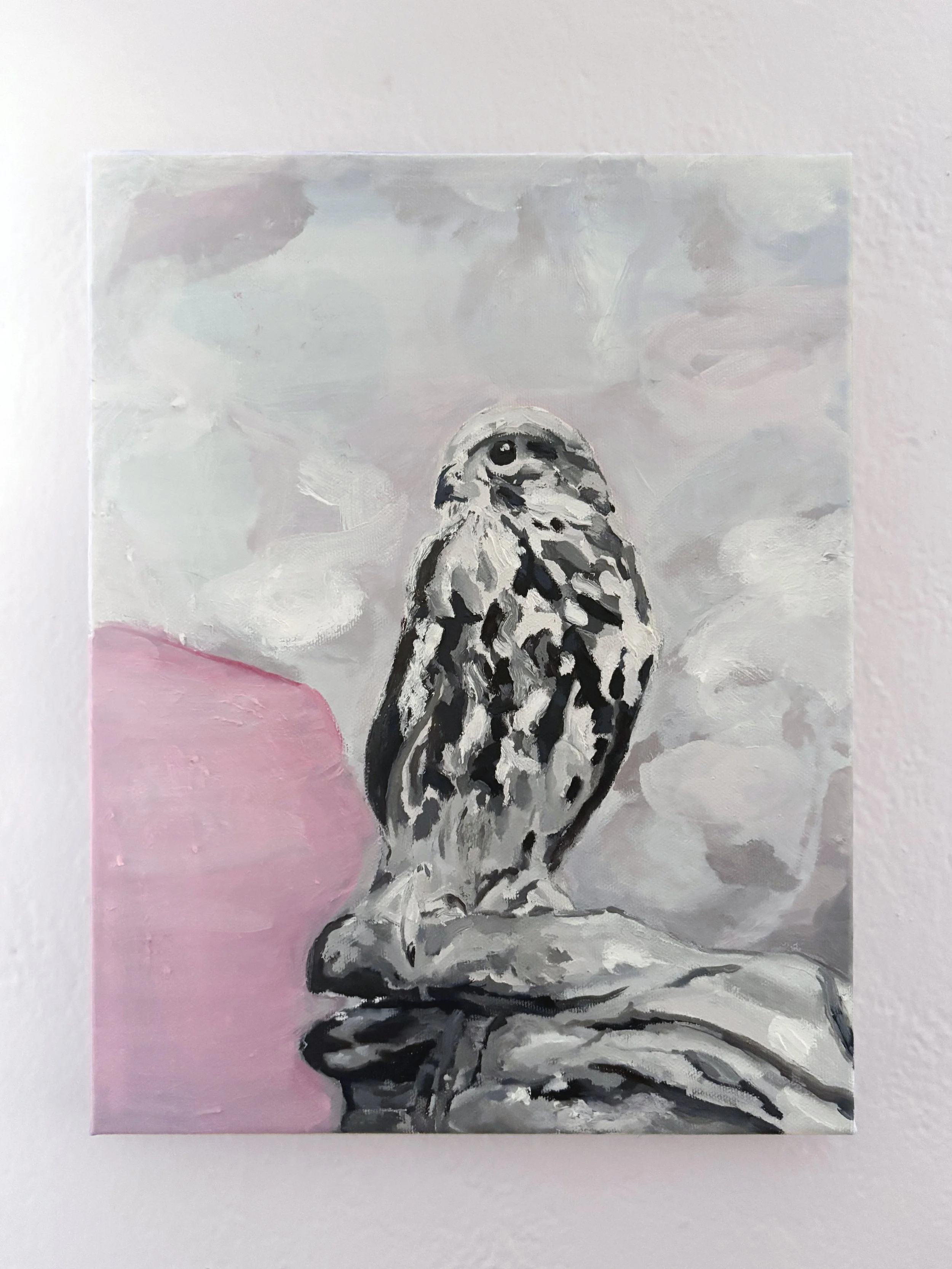    Kes    Oil on canvas  14” x 11”  2025 