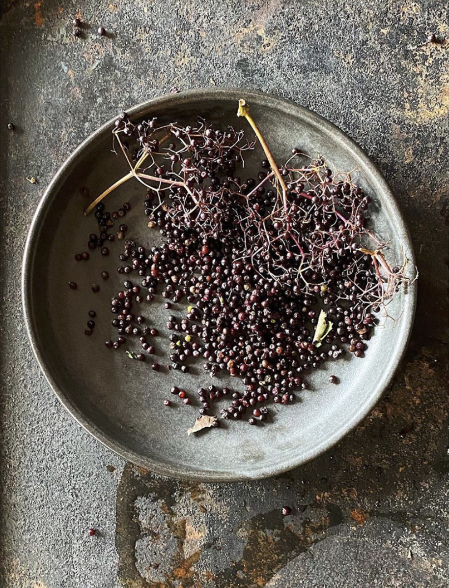 Screen Shot 2020-10-15 at 11.22.32 AM.png