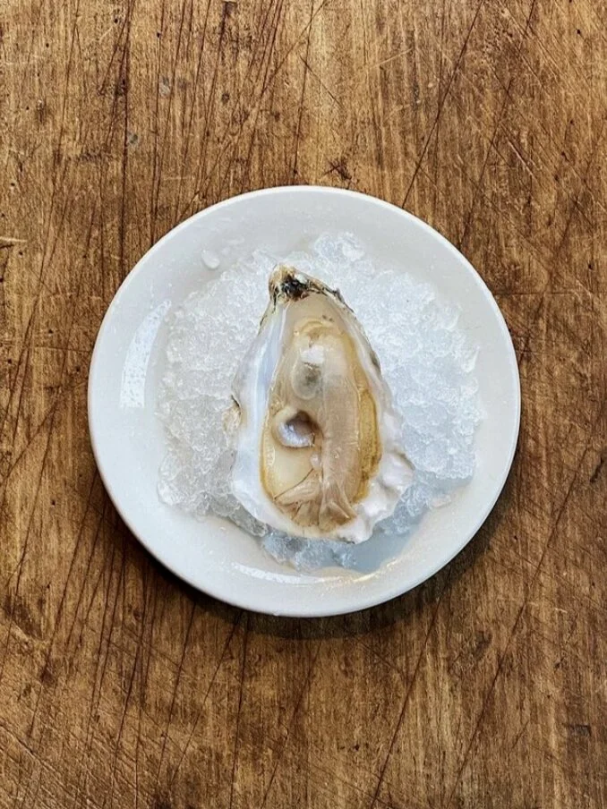 Oyster.jpg