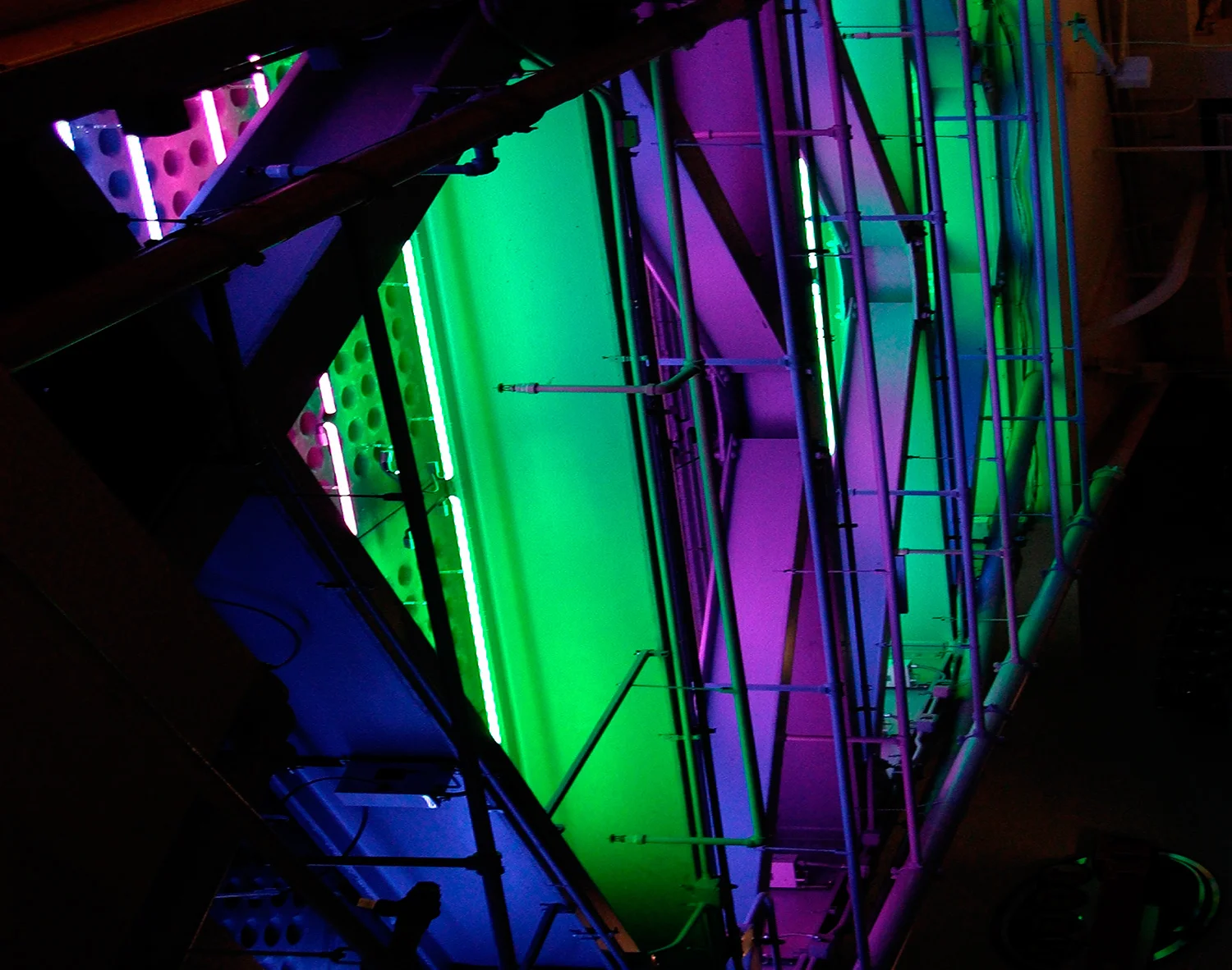 purple-and-green-ceiling-2.jpg