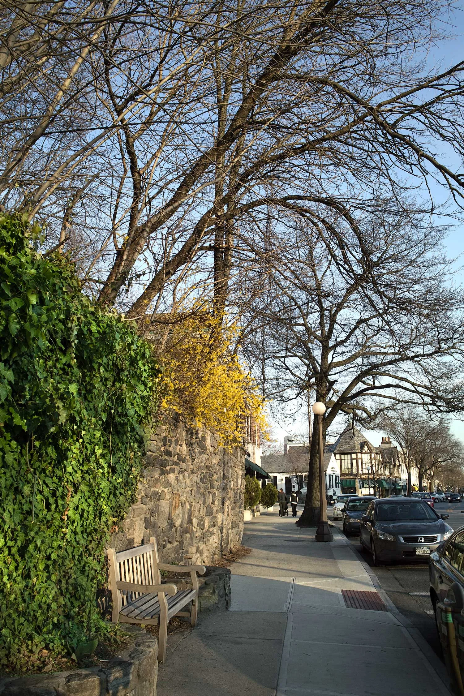 Early-Spring-2009-Pondfield.jpg