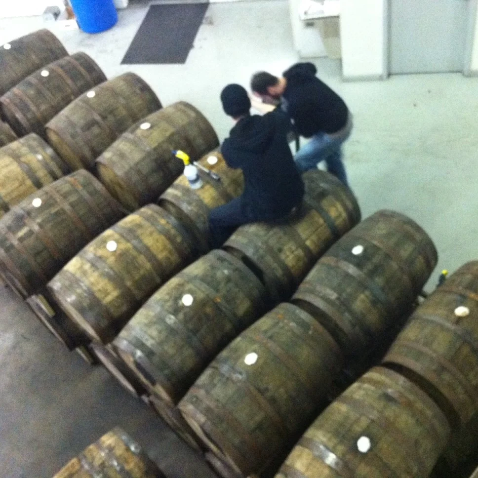 pig in the wood in casks.jpg