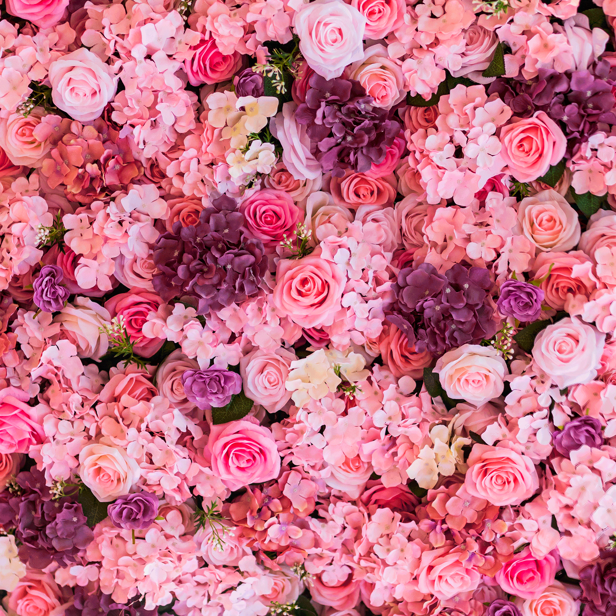 flower-header-animated-sq(1).gif