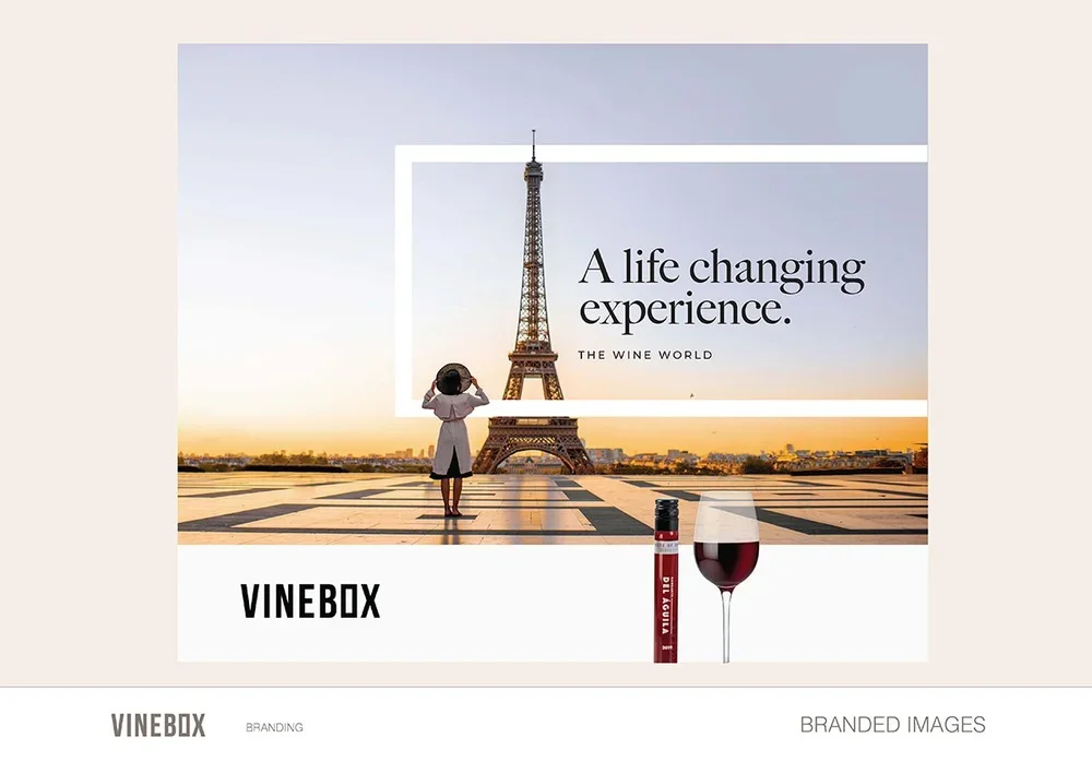 Vinebox+Branding+Guidelines+22_Page_41.jpg.webp