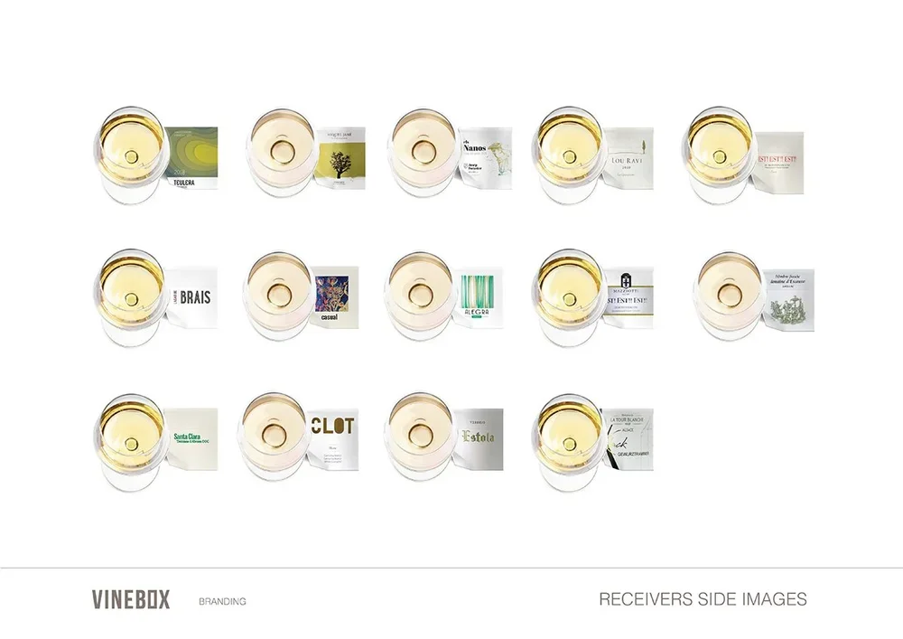 Vinebox+Branding+Guidelines+22_Page_17.jpg.webp