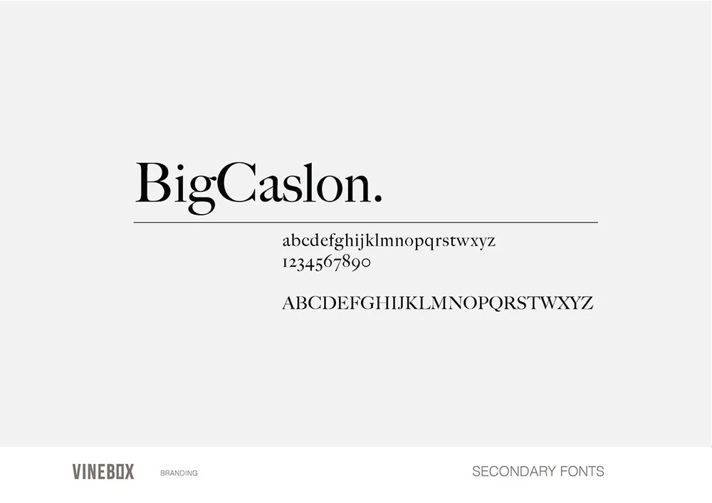 Vinebox+Branding+Guidelines+22_Page_07.jpg.webp