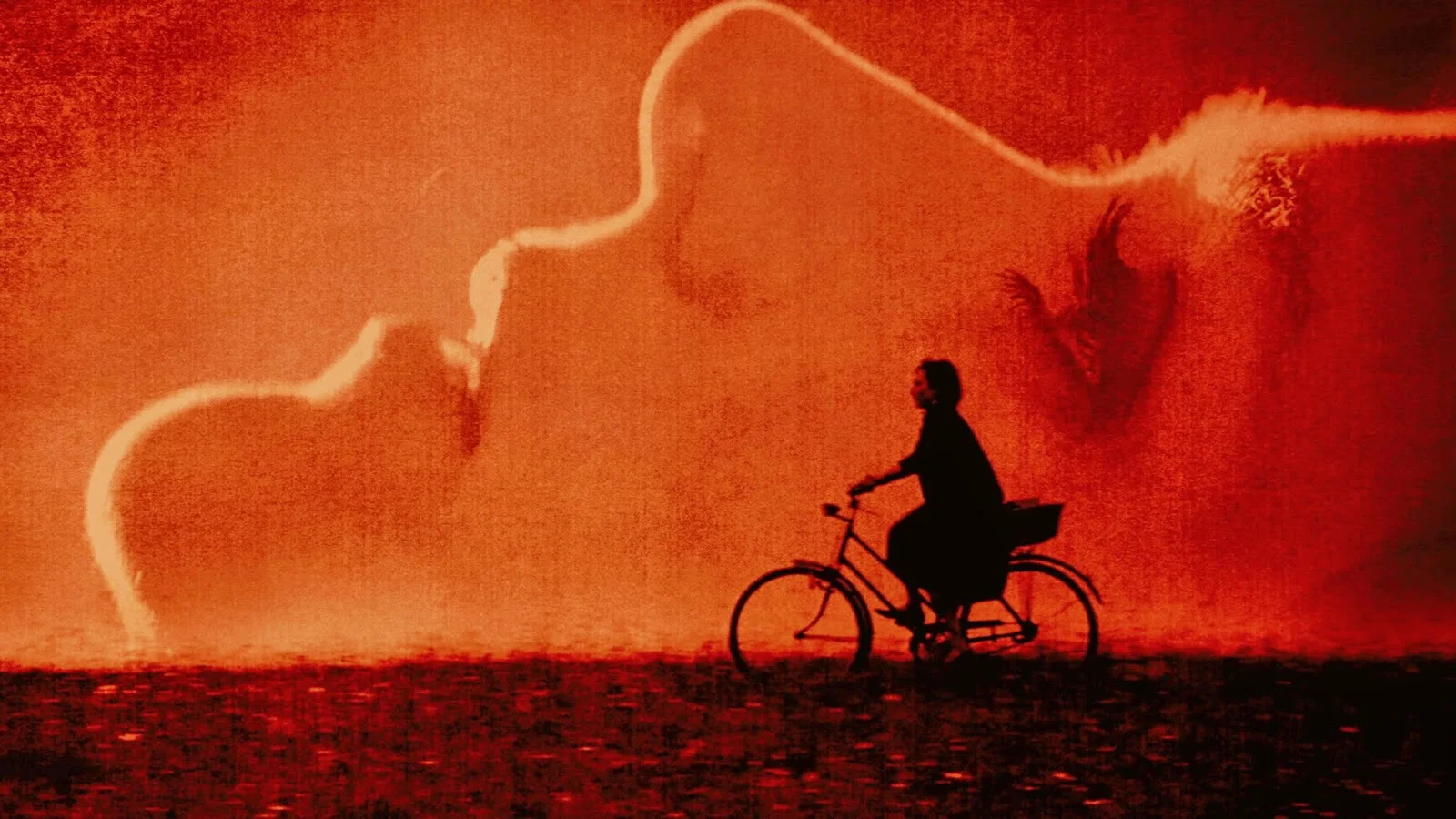 Film Review: 'The Duke of Burgundy'