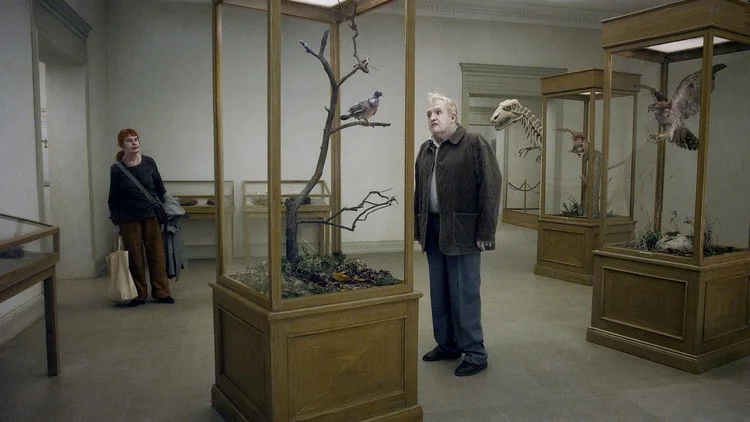 GFF 15 : 'A Pigeon Sat on a Branch Contemplating Existence'