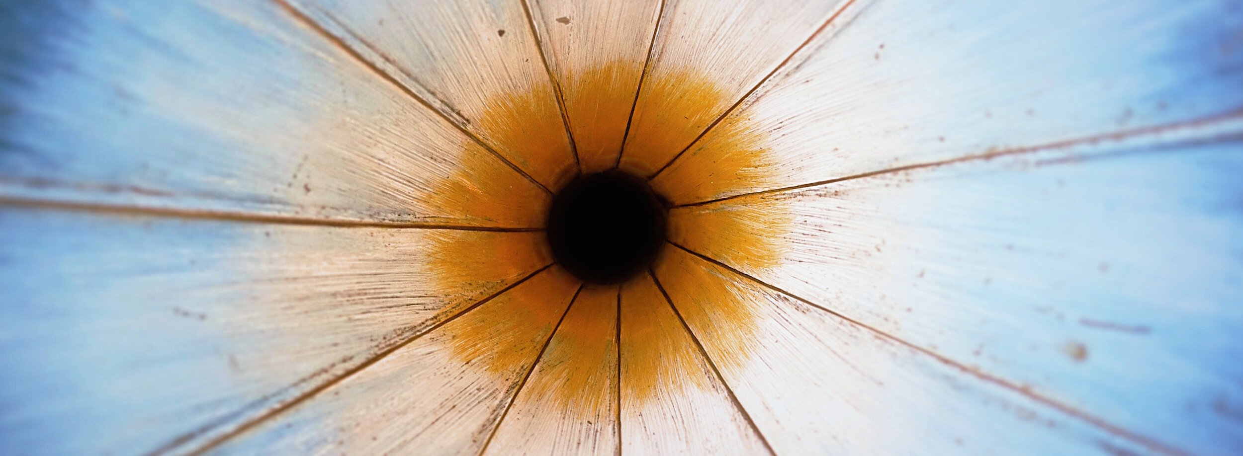 header1.jpg