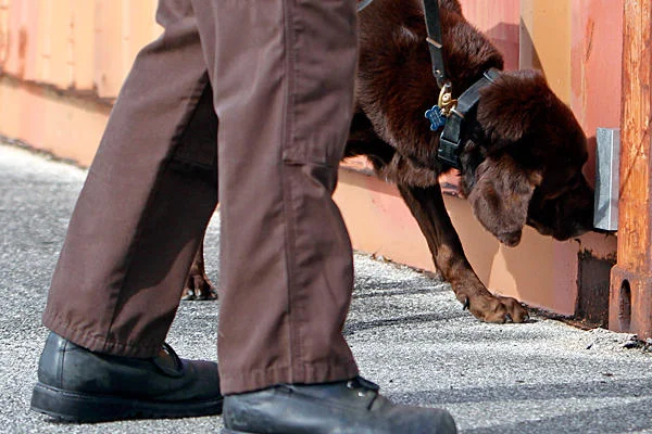 Source: www.csmonitor.com