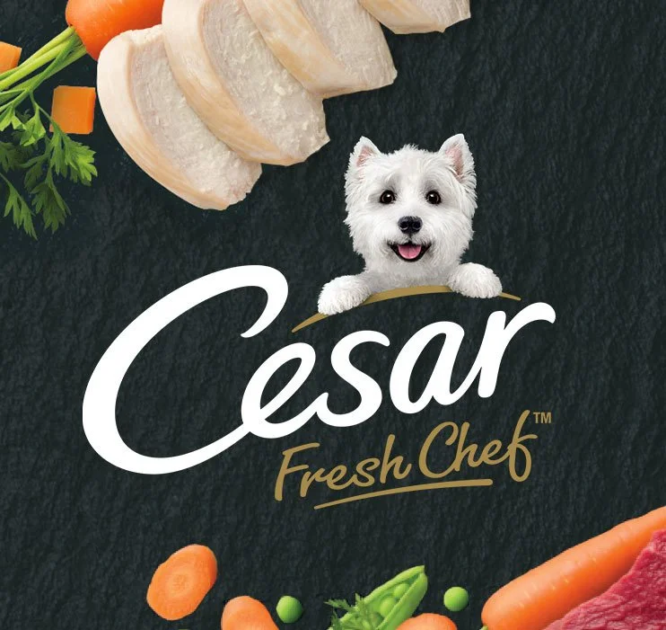 Cesar-fresh-chef-main-m.jpeg