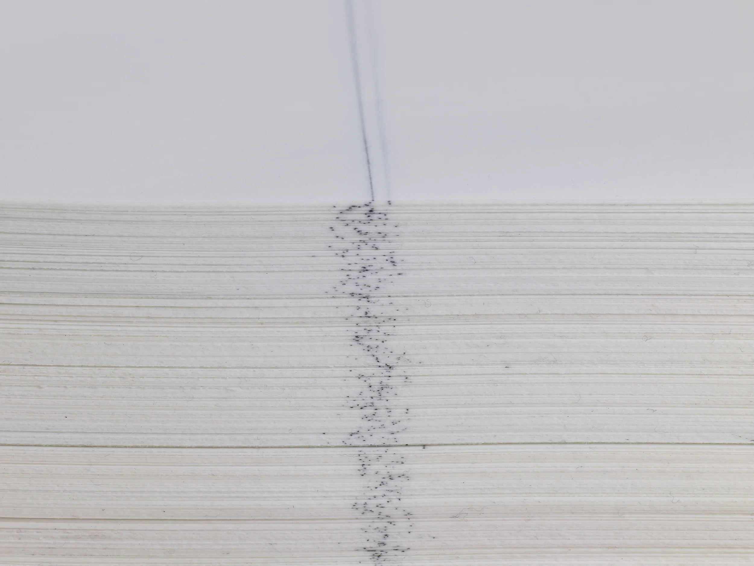 Bisect