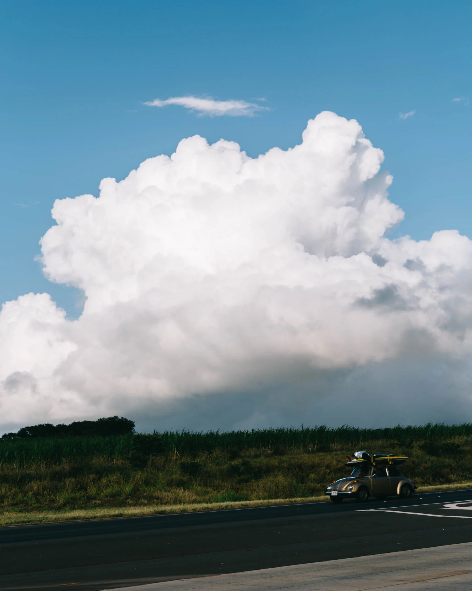 Maui Portfolio-26.jpg