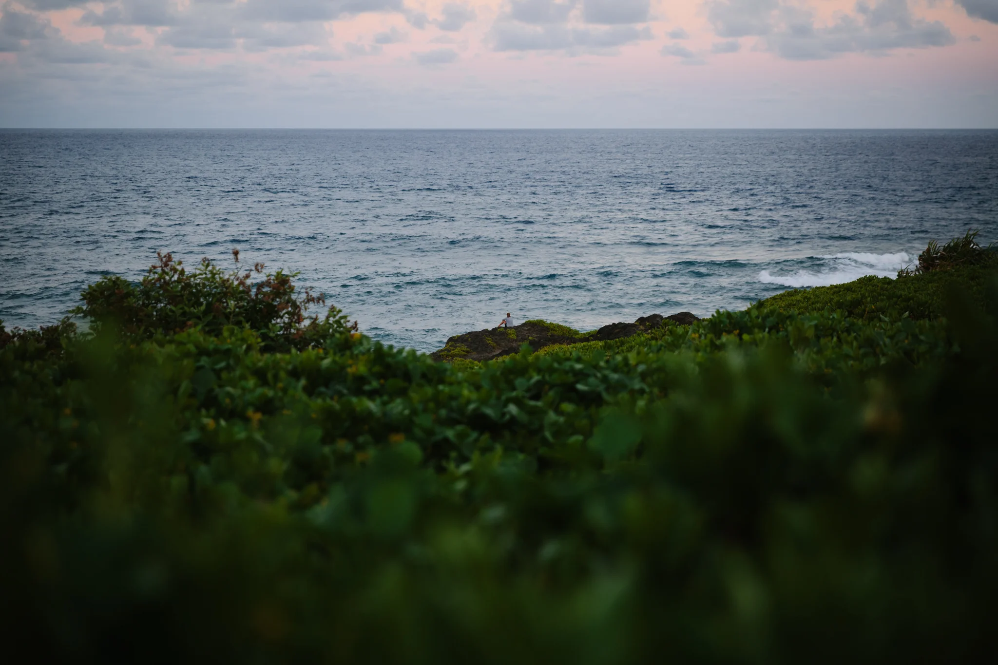 Maui Portfolio-75.jpg