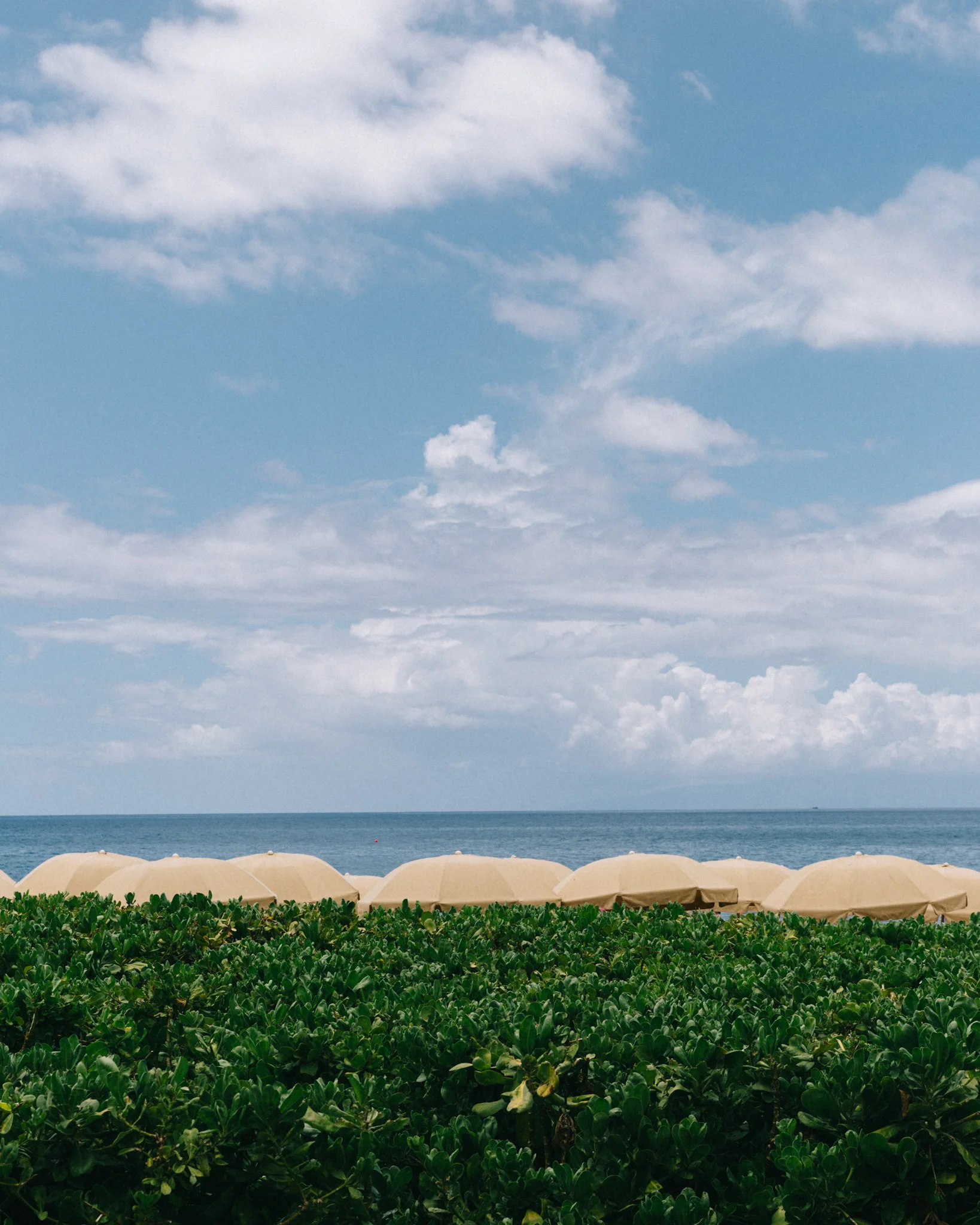 Maui Best-35.jpg