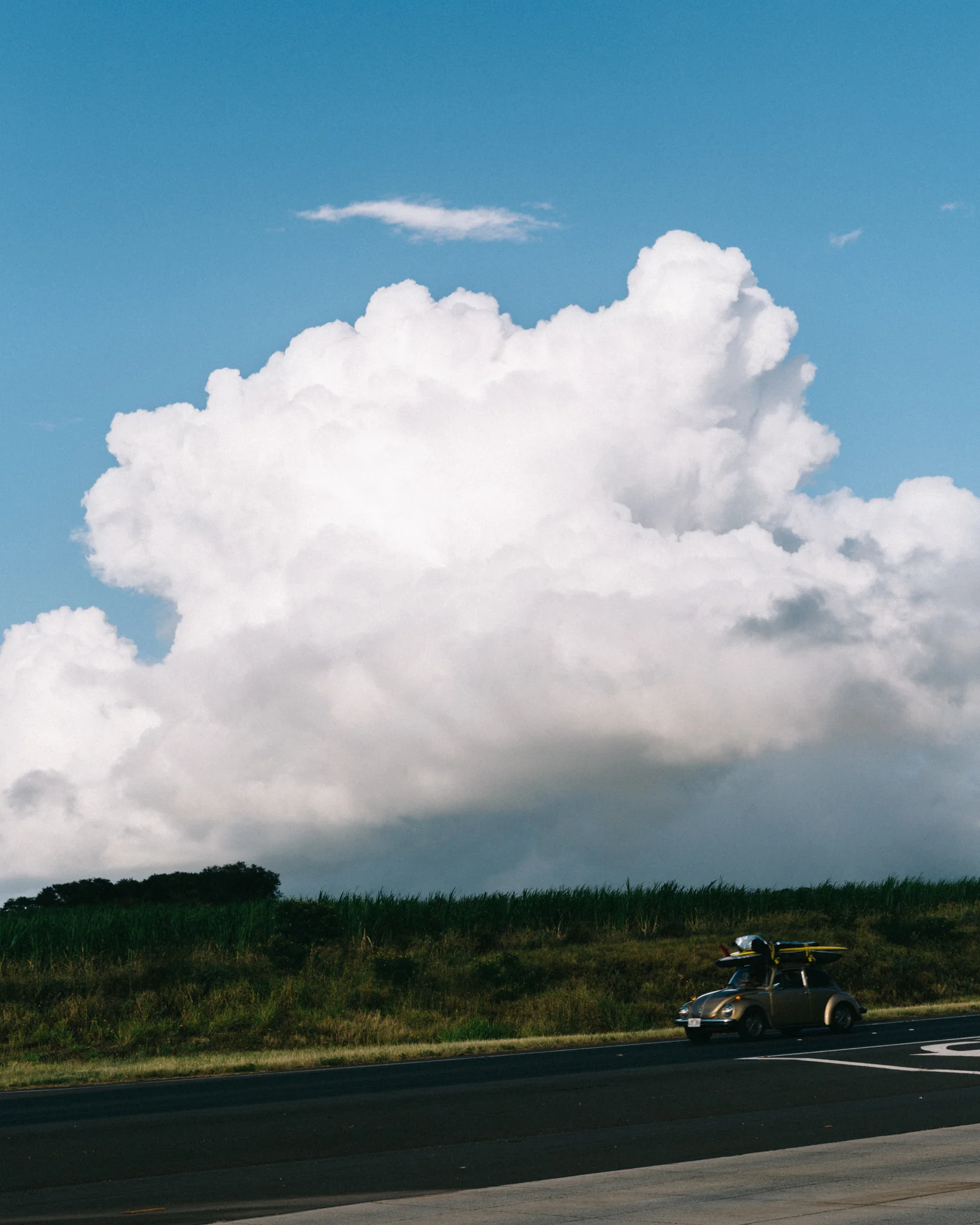 Maui Best-50.jpg