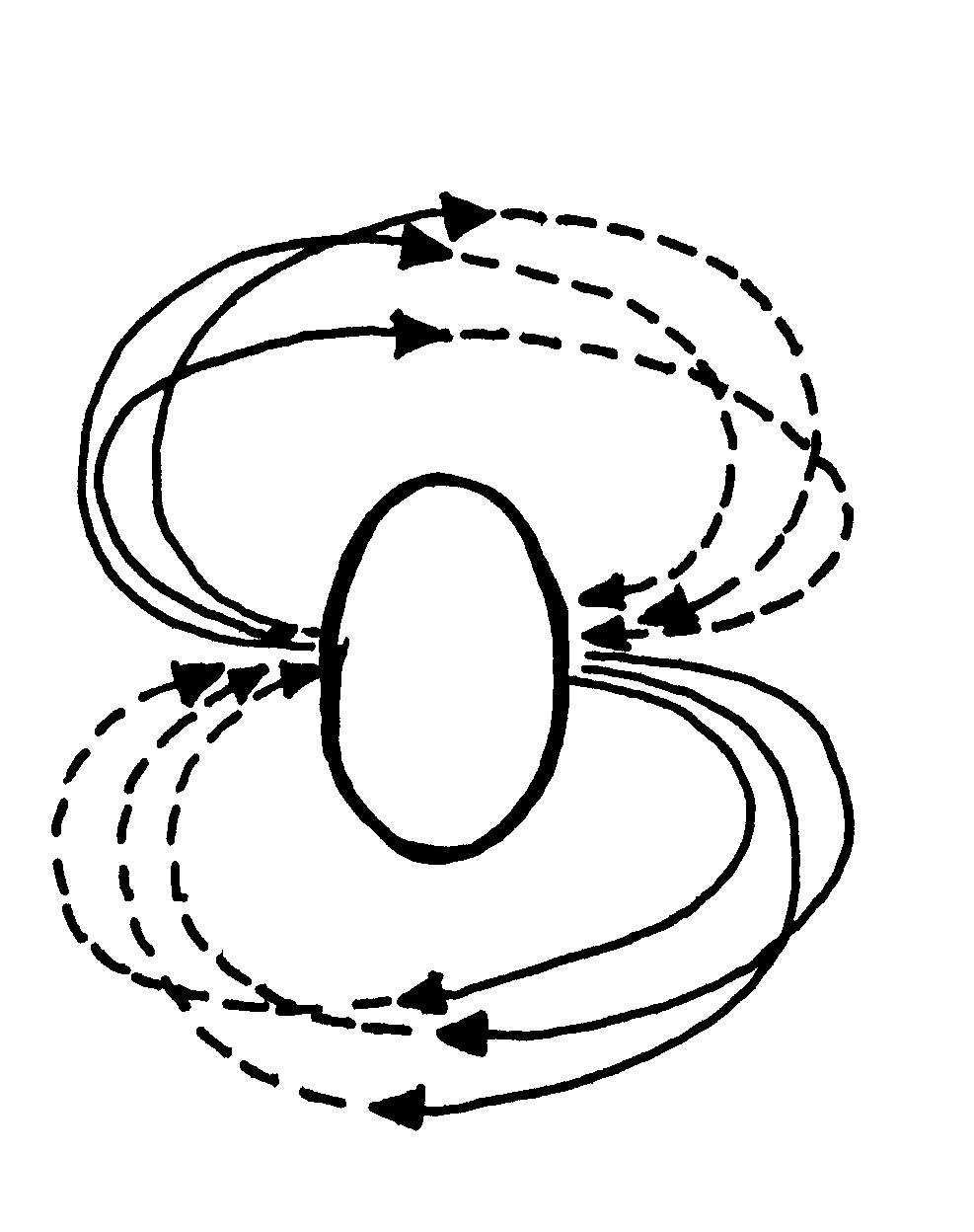 Conceptual Circulation Diagram