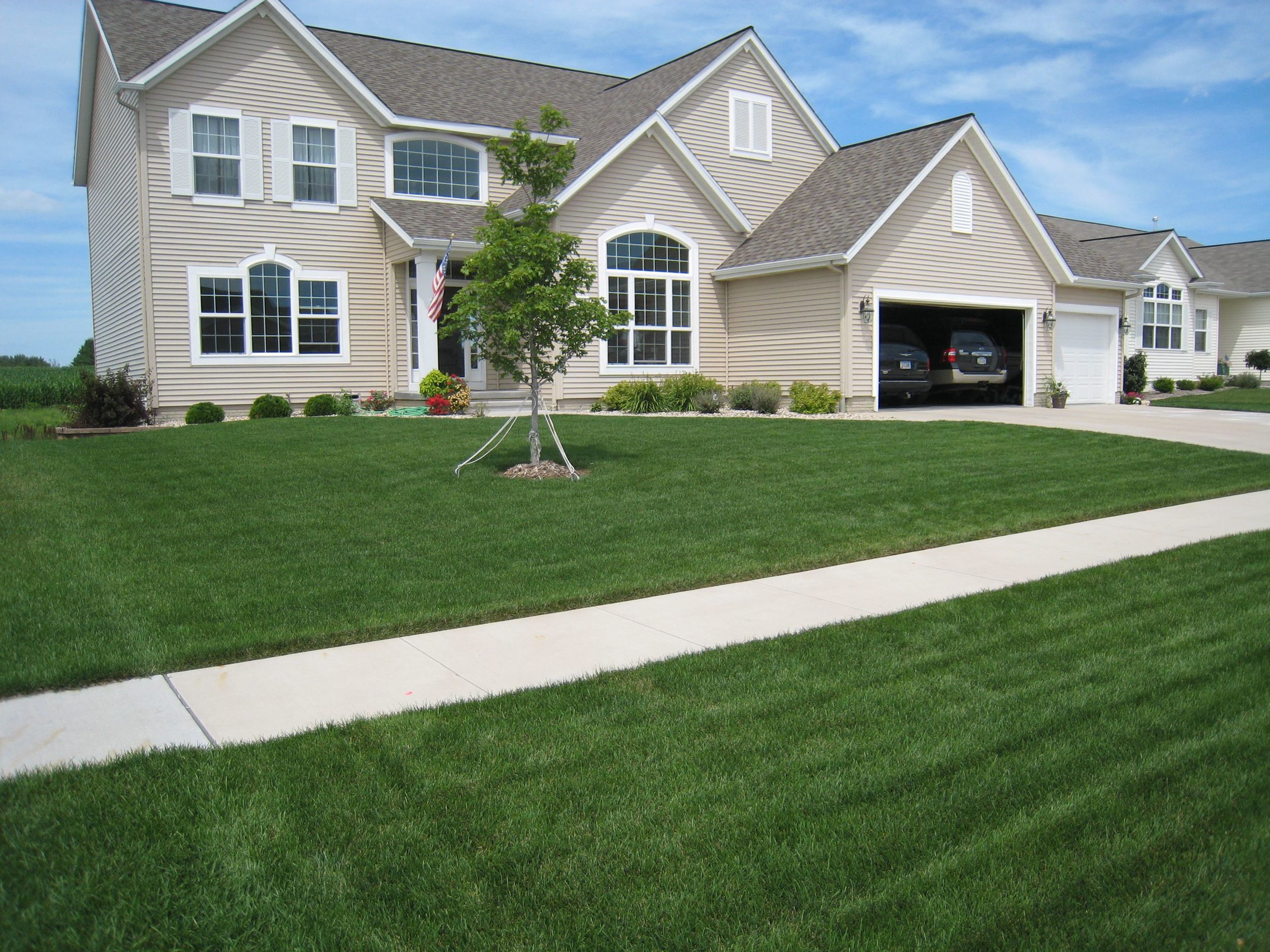 Customer lawn from Blue Grass