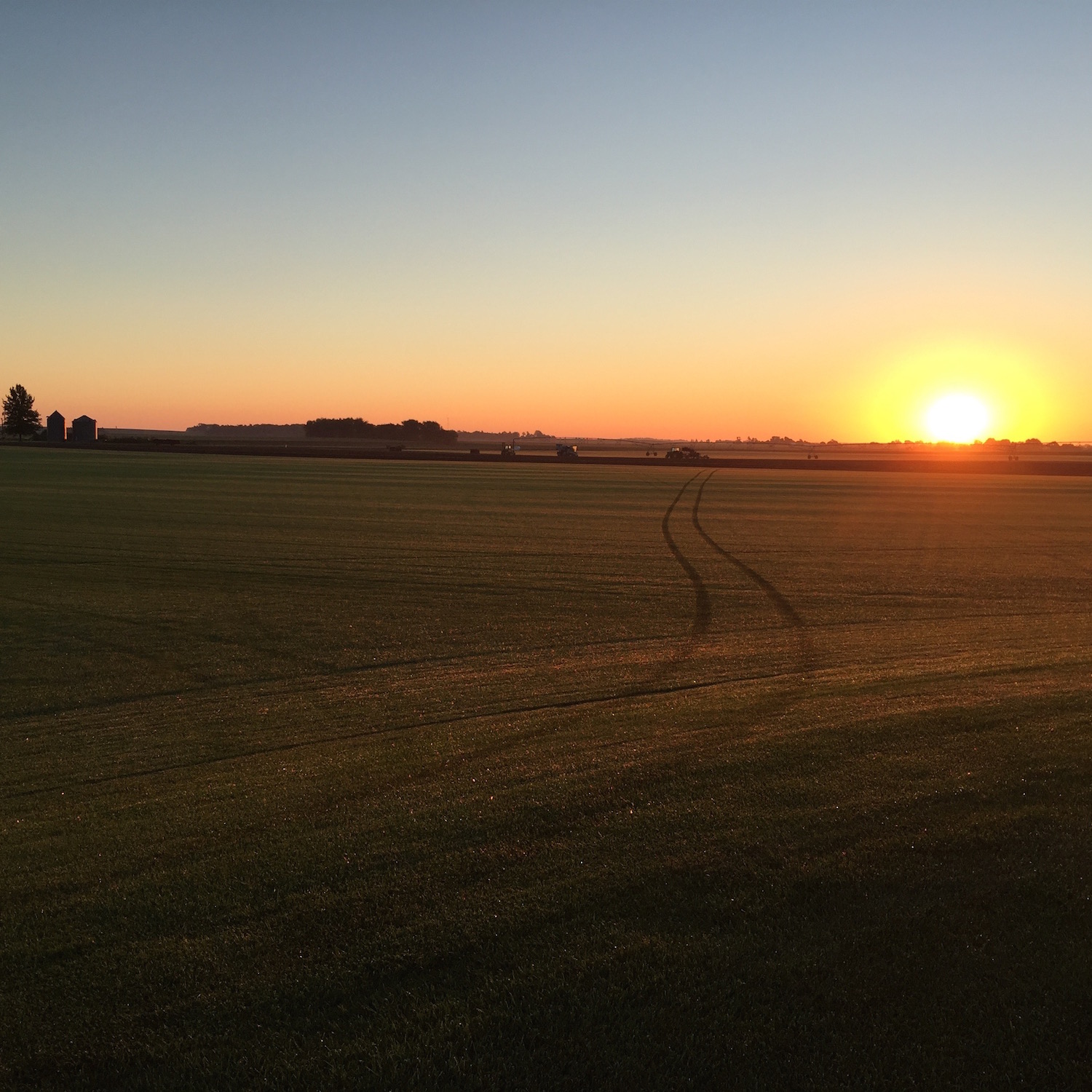 Sunrise over the sod field in Alburnett, Iowa