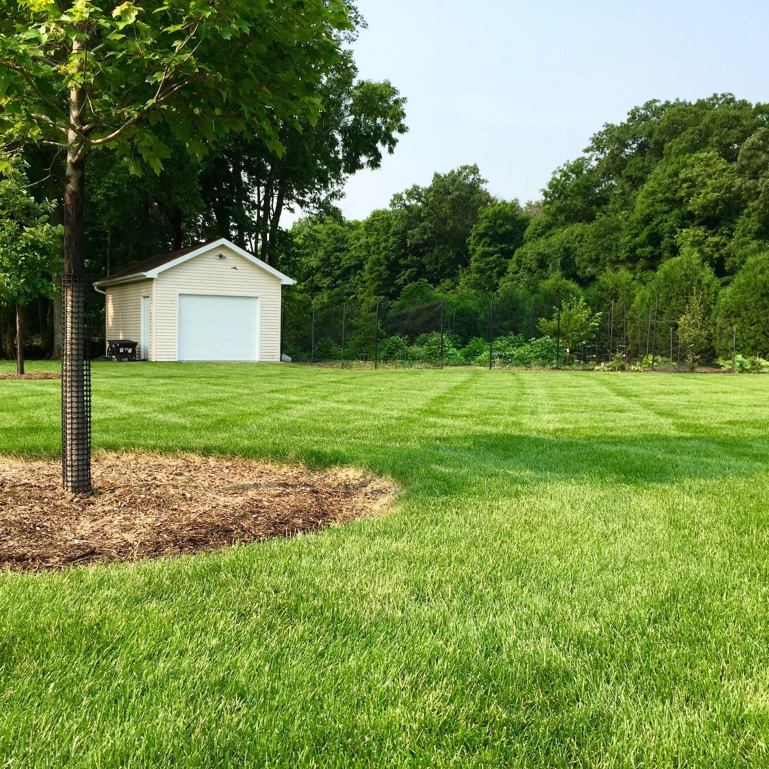 Blue Grass customer lawn