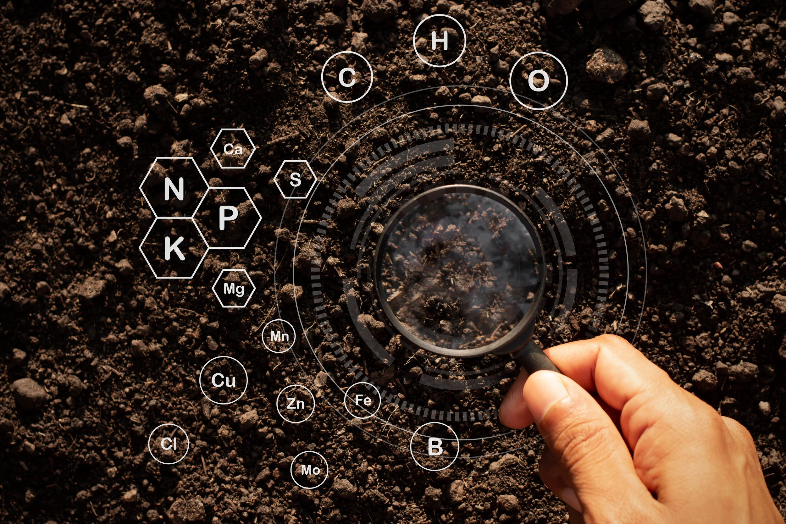 Just like in the body, nutrients in soils work in relationship to each other. This is why we will almost never recommend a product that is high in only one nutrient, like Urea. If the ratios between certain nutrients get out-of-whack, it can inhibit…