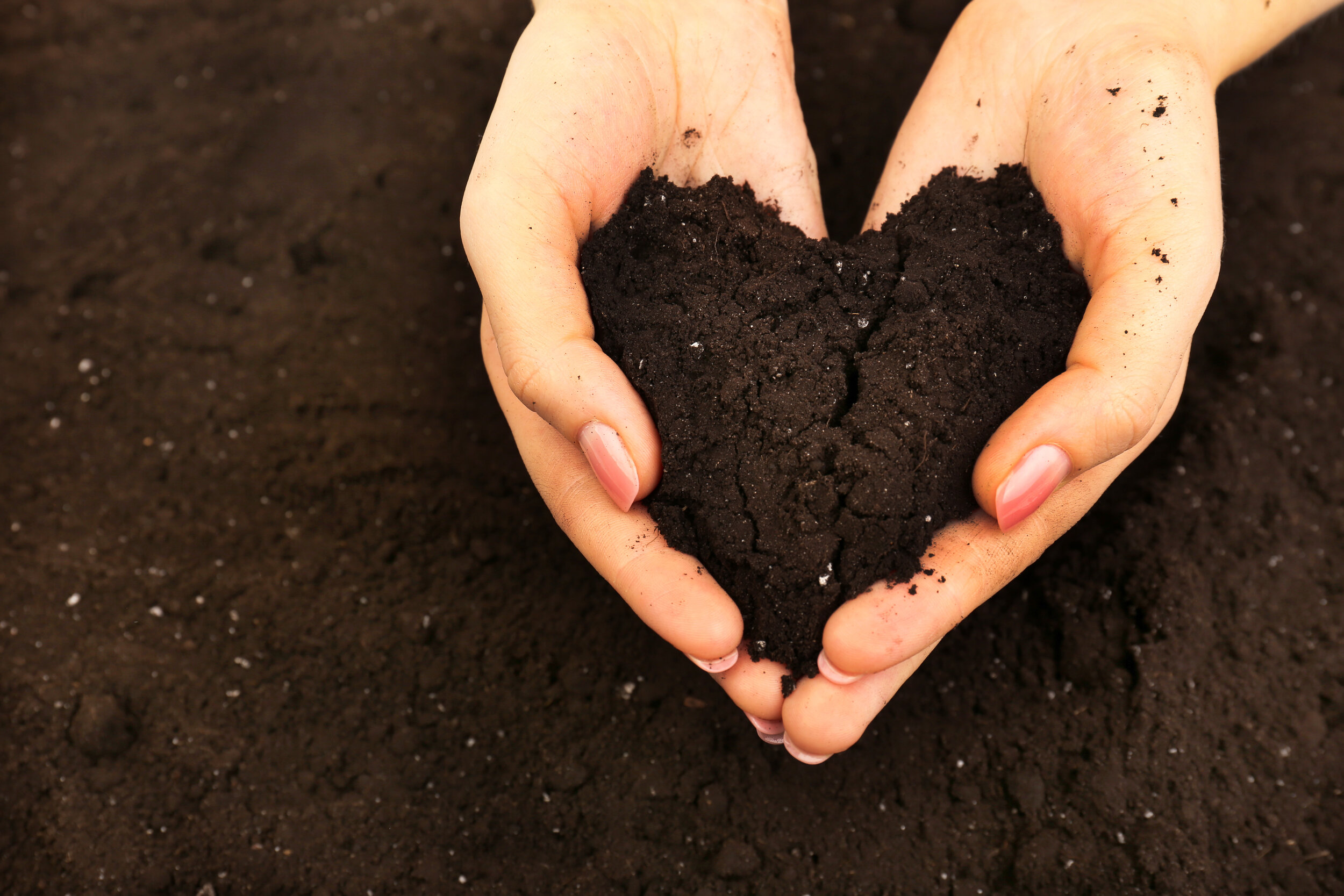 Черная земля рук не любит. Почва. Почва в руках. Земля грунт. Почва для детей.