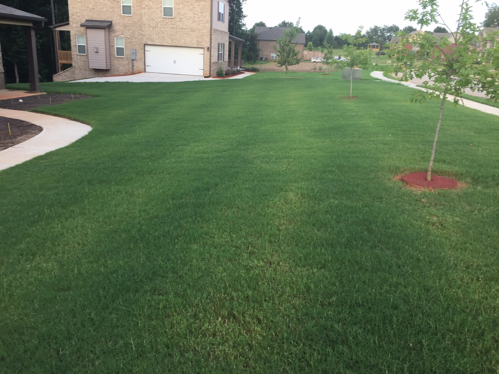 “Zebra stripes” from a rotary spreader. This person left too large of spacing in between each pass. Try to get a 10% overlap on each side for even application.