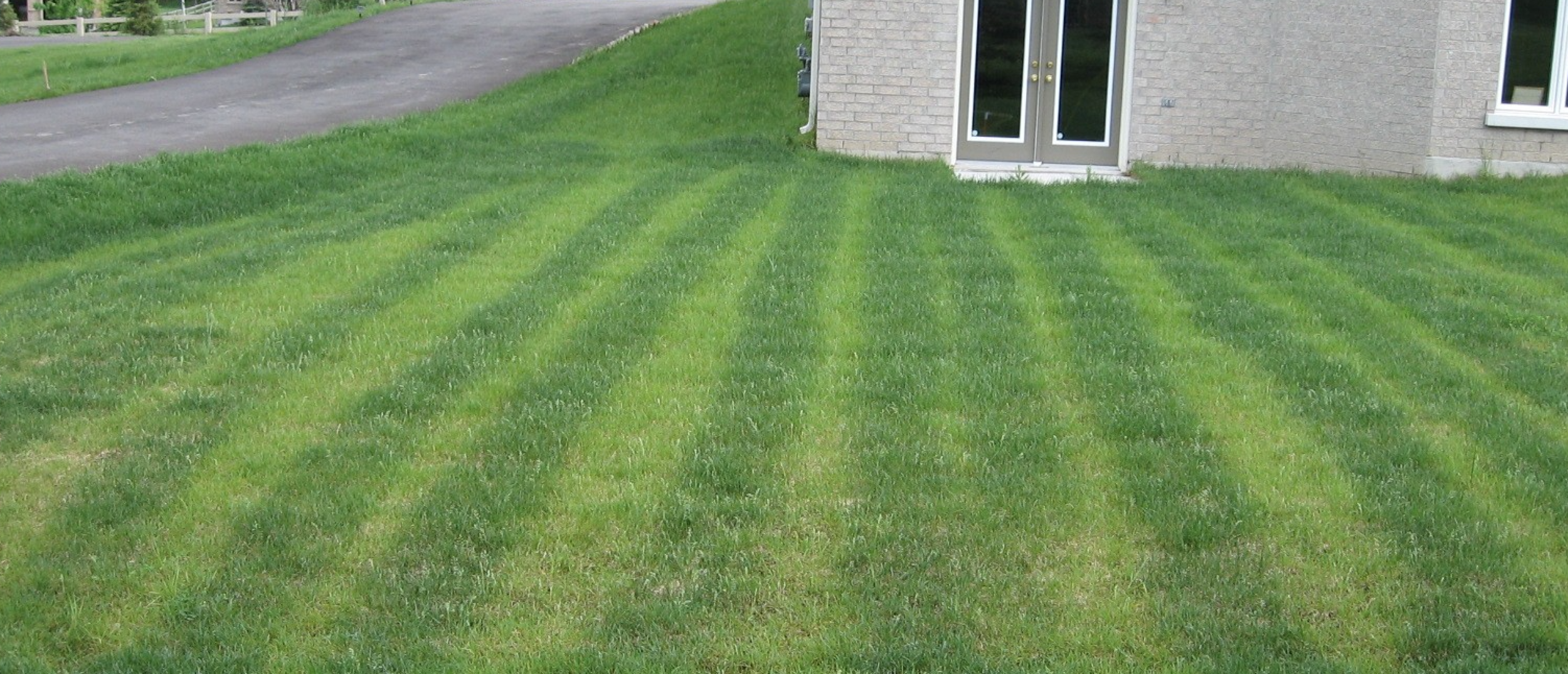 How Do I Fertilize?