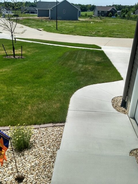 This large discolored spot to the left of driveway is a good example of what stressed grass looks like when it “grays" due to dehydration.