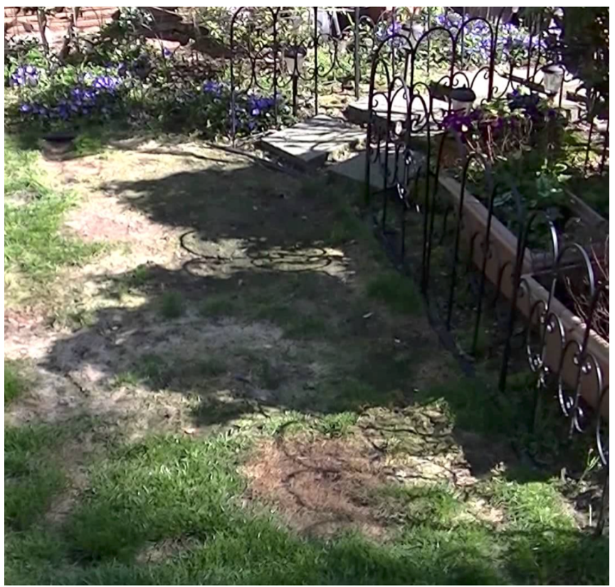 Compaction Damage