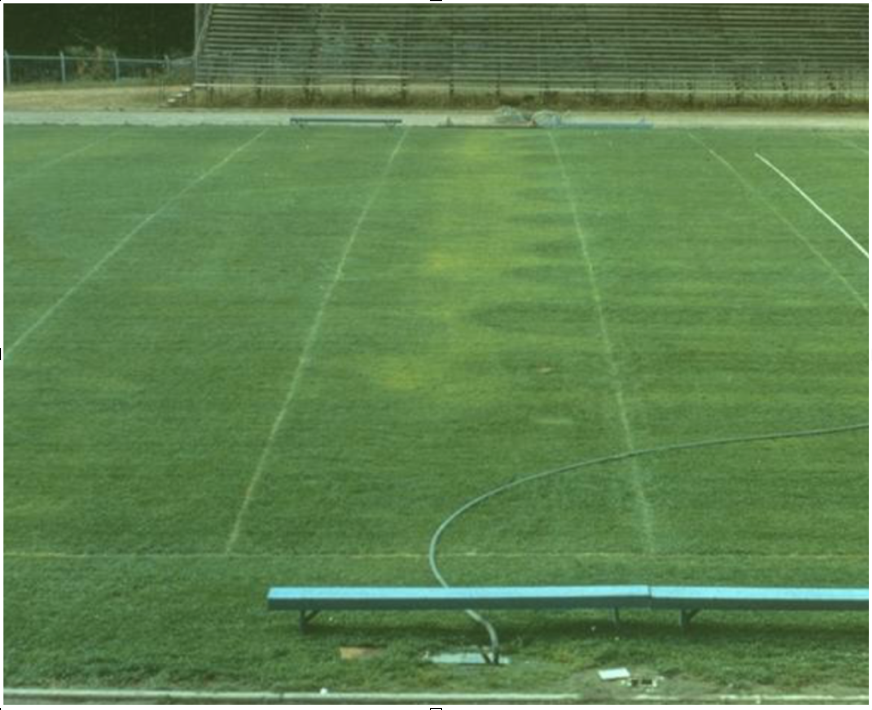 Fertilizer stripes